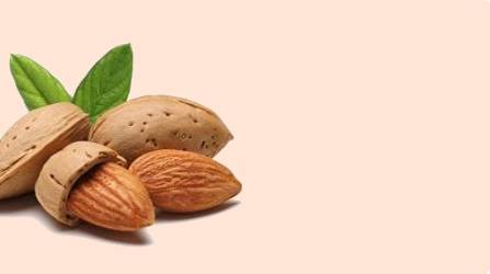 sub-banner1